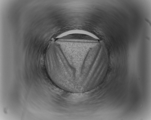 X0000099500037200806051133