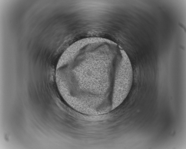 X0000099500038200806051133