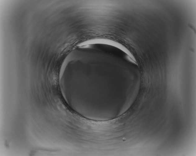 X0000099500039200806051133