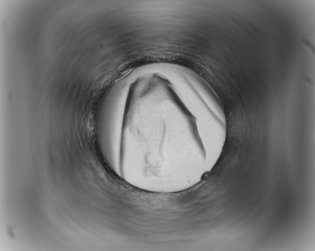 X0000099500040200806051133