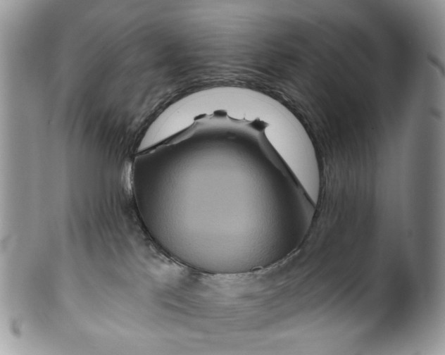 X0000099500041200806051133