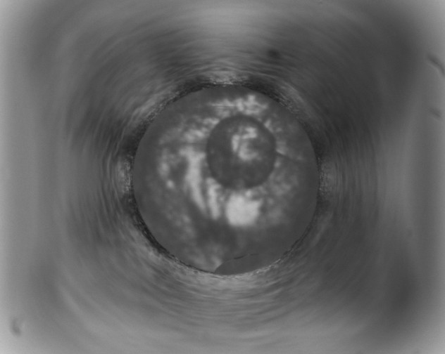 X0000099500043200806051133