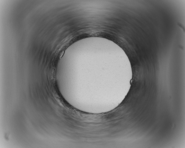 X0000099500044200806051133