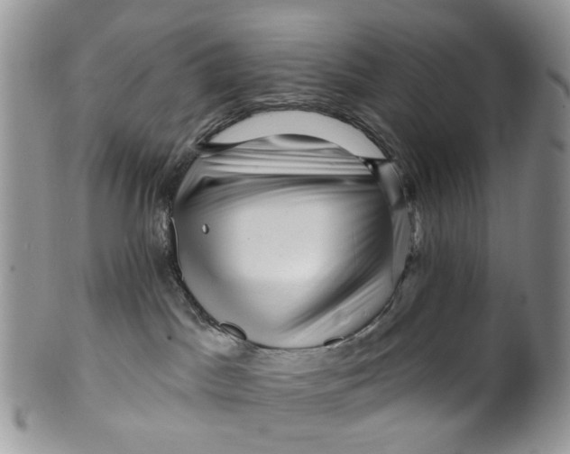 X0000099500045200806051133