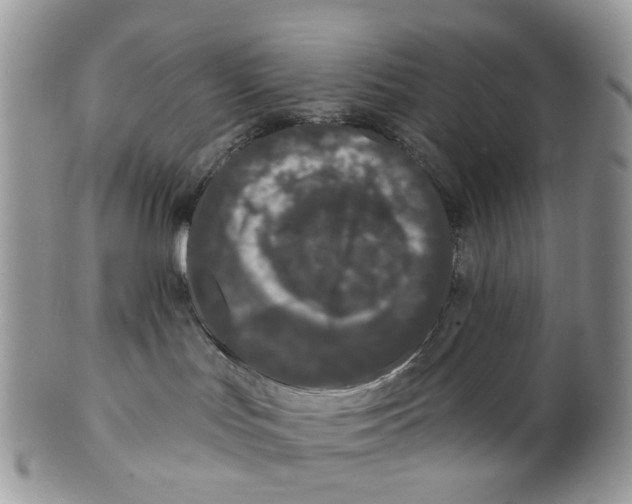 X0000099500047200806051133