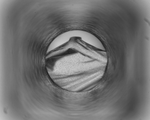 X0000099500048200806051133