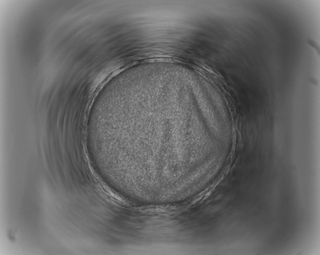 X0000099500049200806051132