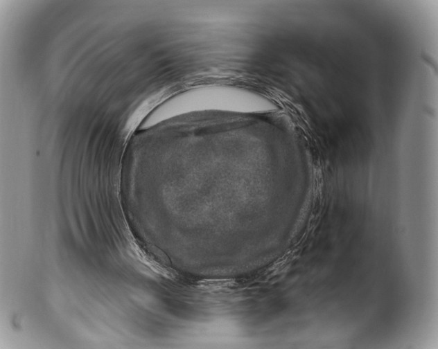 X0000099500051200806051132