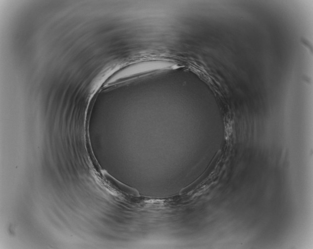 X0000099500052200806051132