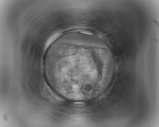 X0000099500053200806051132