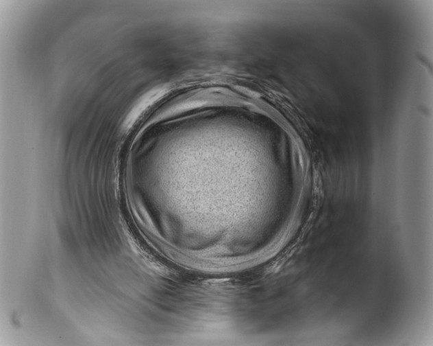 X0000099500054200806051132