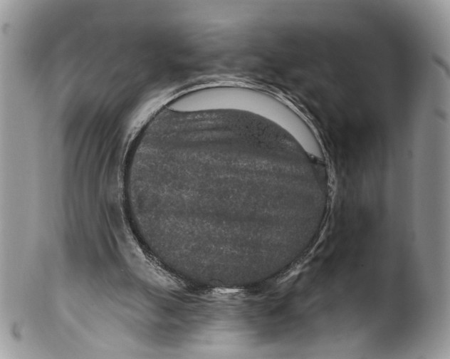 X0000099500055200806051133