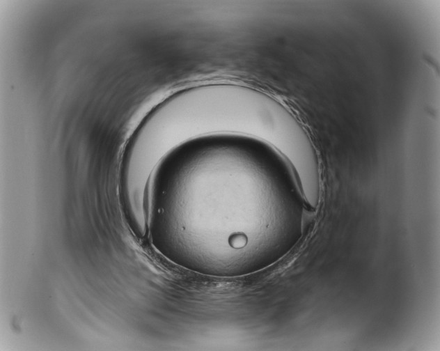 X0000099500056200806051133