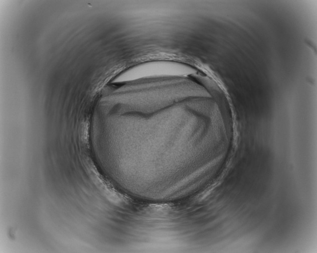 X0000099500057200806051133