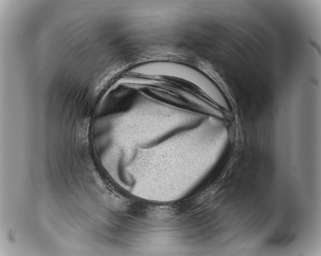 X0000099500058200806051133