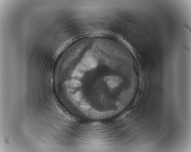 X0000099500059200806051133