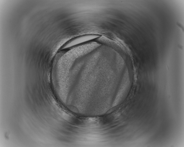 X0000099500060200806051133