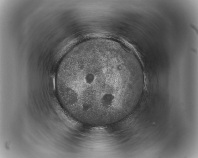 X0000099500061200806051133