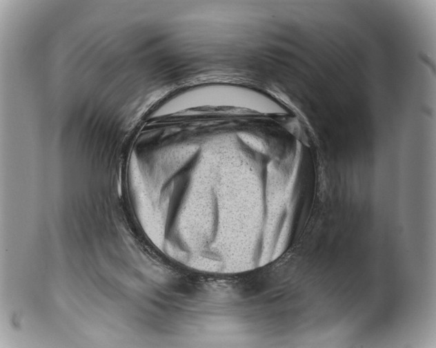 X0000099500062200806051133