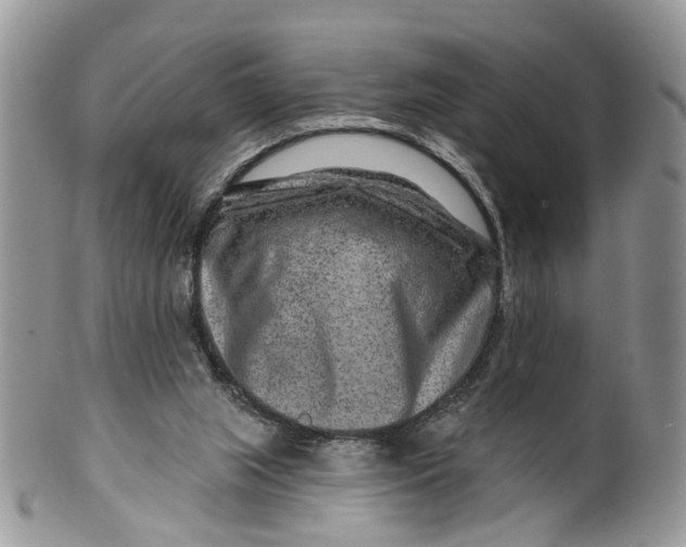 X0000099500063200806051133