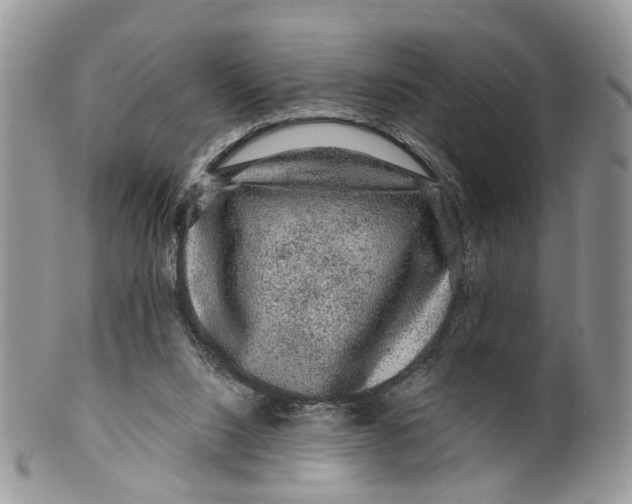 X0000099500064200806051133