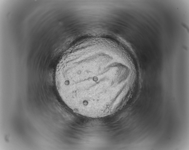 X0000099500065200806051133