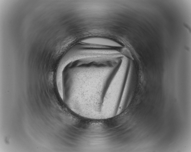 X0000099500066200806051133