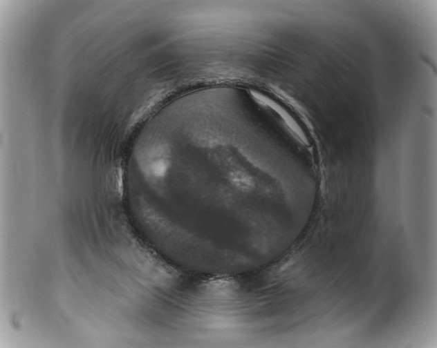 X0000099500067200806051133