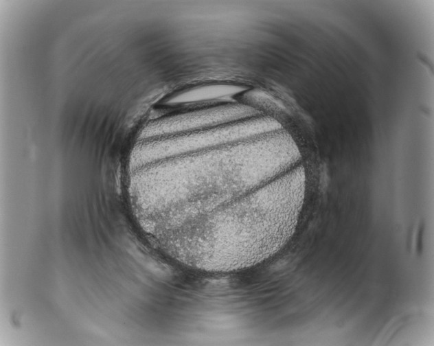 X0000099500068200806051133