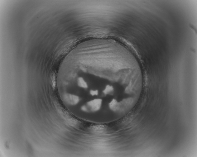 X0000099500069200806051133