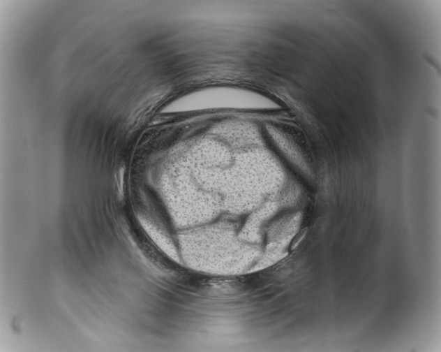 X0000099500070200806051133