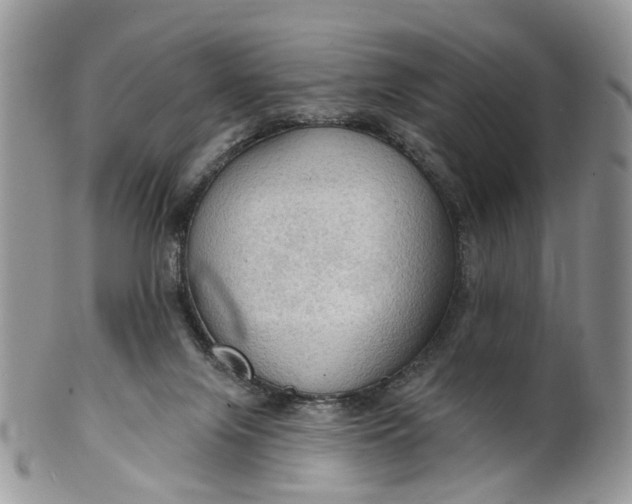 X0000099500071200806051133