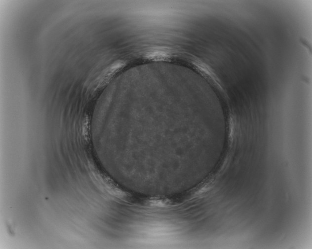 X0000099500073200806051133