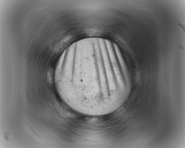 X0000099500074200806051133