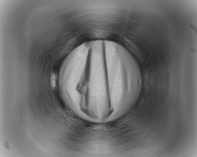 X0000099500075200806051133