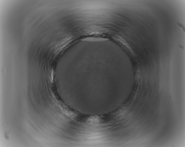 X0000099500076200806051133