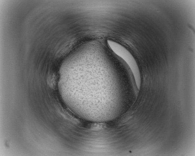 X0000099500077200806051133