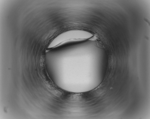 X0000099500078200806051133