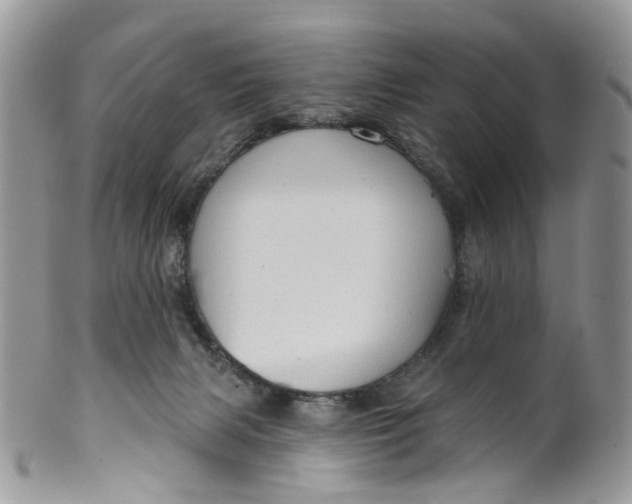 X0000099500079200806051133