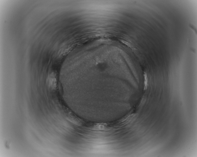 X0000099500080200806051133