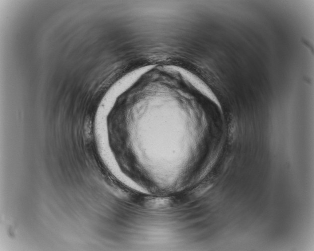 X0000099500081200806051133