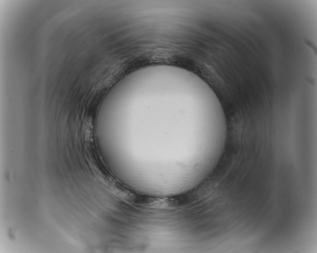 X0000099500083200806051133