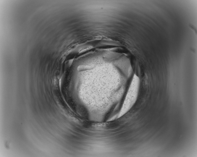 X0000099500084200806051133