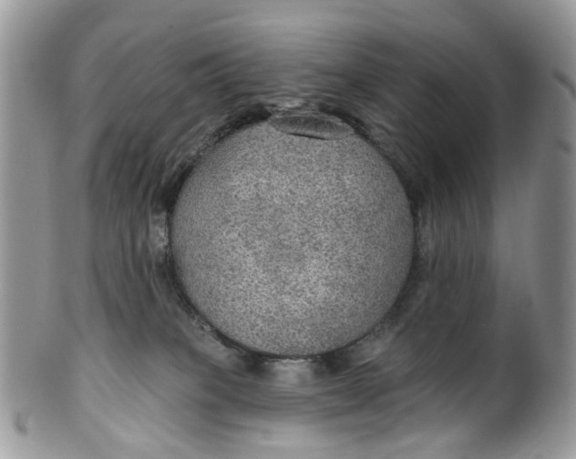 X0000099500085200806051133