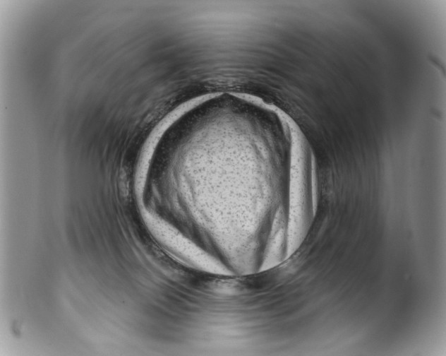 X0000099500086200806051133