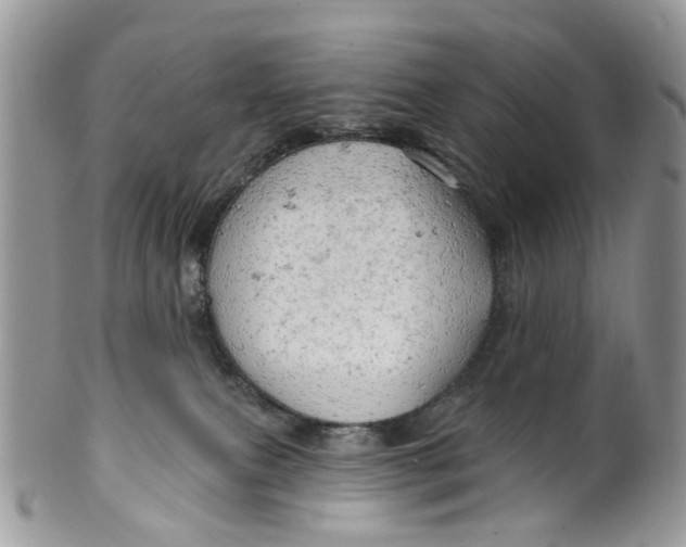 X0000099500087200806051133