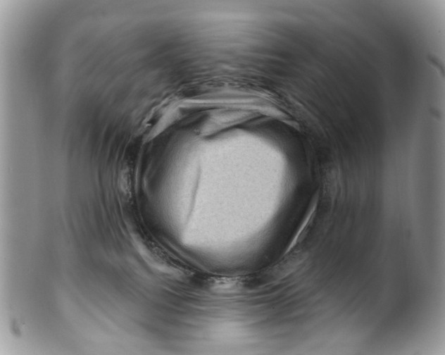 X0000099500088200806051133