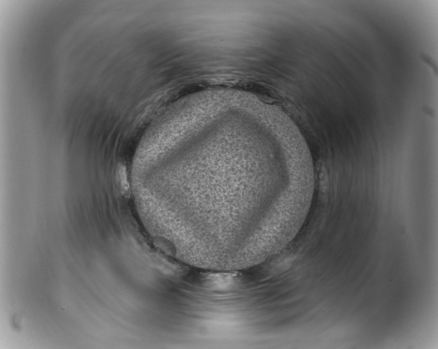 X0000099500089200806051133