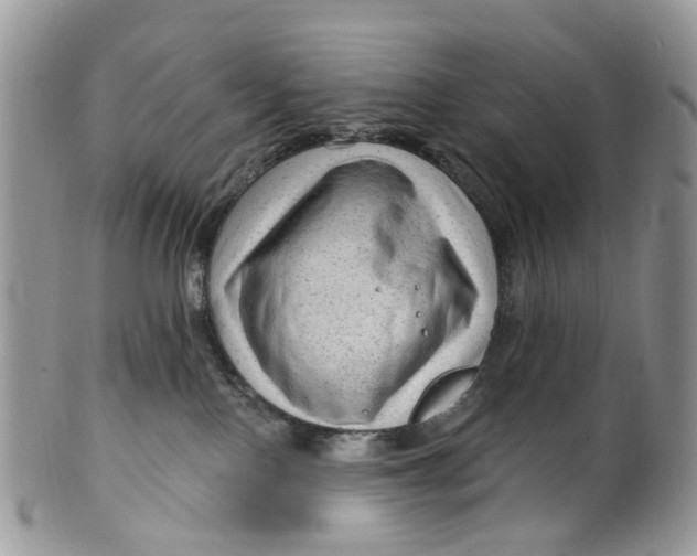 X0000099500090200806051133