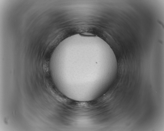 X0000099500091200806051133